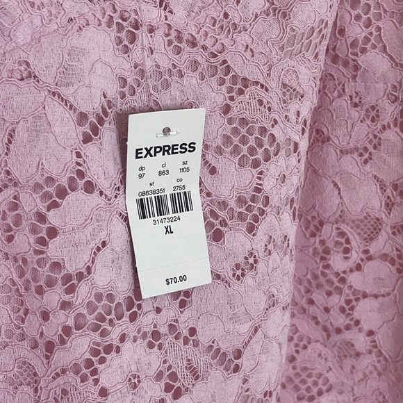 Express Pink V-Neck Lace  Bodysuit - Picture 5 of 5
